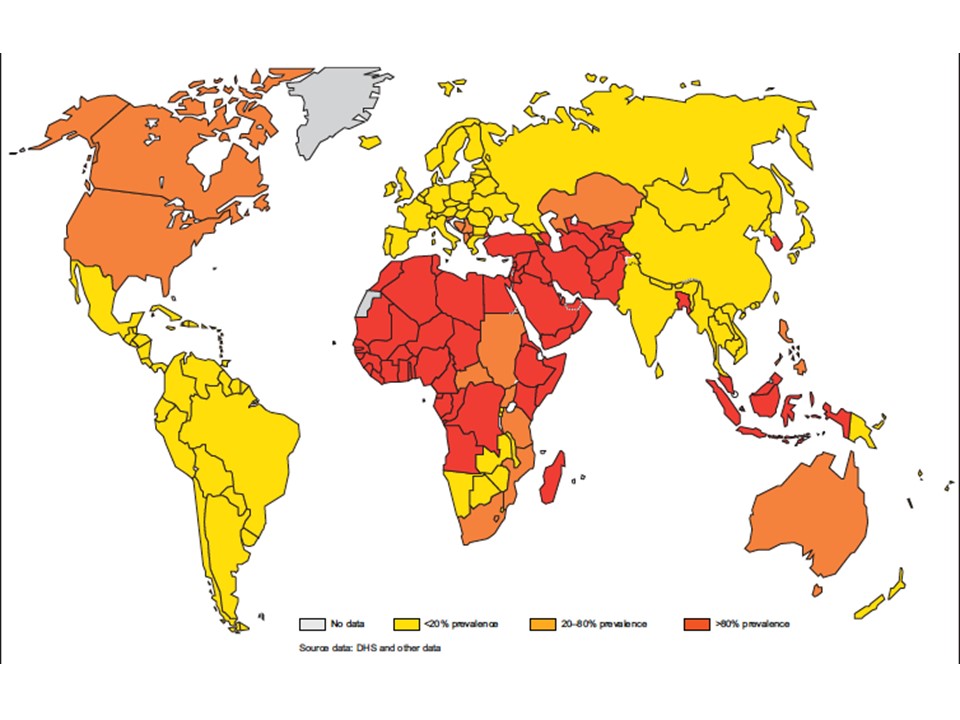 Figure 1: The map shows the distribution of circumcised boys. In Muslim countries, Israel and South Korea, the circumcision rate is >80%. The rate is 20–80% in North America, Australia, the Philippines, and the Balkan countries. In Middle and South America and majority of Europe and non-Islamic Asian countries the rate is <20%. (Reprinted from literature with permission by WHO, © World Health Organization and Joint United Nations Programme on HIV/AIDS, 2007)