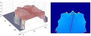 Left: Surface of a cow’s rear back. Right: Region of interest marked as points in the tail head region, the hips and the backbone Figure 4: Left: Surface of a cow’s rear back. Right: Region of interest marked as points in the tail head region, the hips and the backbone (images by J. Salau)