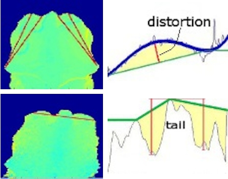 Left column: Sections through the surface were taken along the red lines. Right column: The profiles were used to calculate parametersFigure 4: Left: Surface of a cow’s rear back. Right: Region of interest marked as points in the tail head region, the hips and the backbone (images by J. Salau)