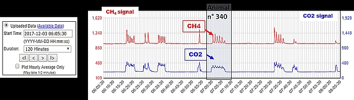 Figure 5: Acquired CH4 and CO2 signals from animals visit to the GF unit.