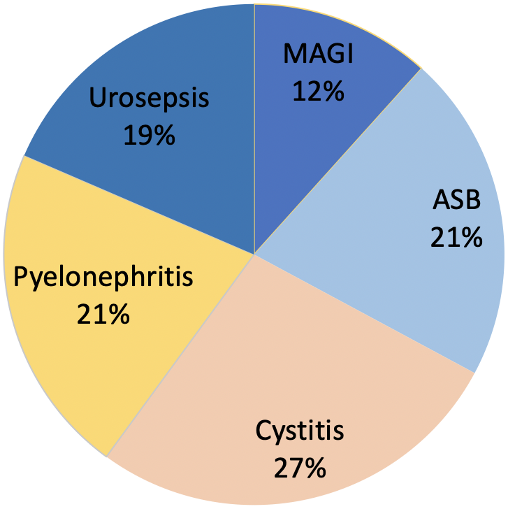 Figure 1: Type of HAUTIs according to the GPIU study 2003–2013; MAGI: male accessory gland infection, ASB: asymptomatic bacteriuria