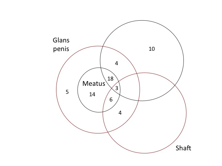 Balanitis and related inflammatory conditions affecting the penis